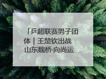 乒超联赛男子团体｜王楚钦出战 山东魏桥·向尚运动胜四川丰谷